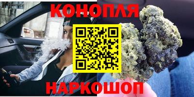 индика Ирбит