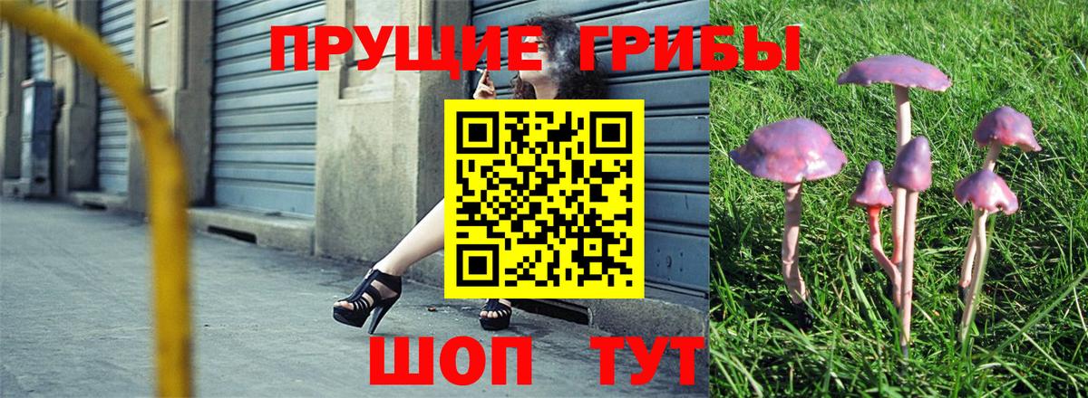 Псилоцибиновые грибы прущие грибы Кушва